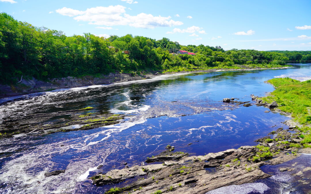 Fiber Internet Upgrade to Albion